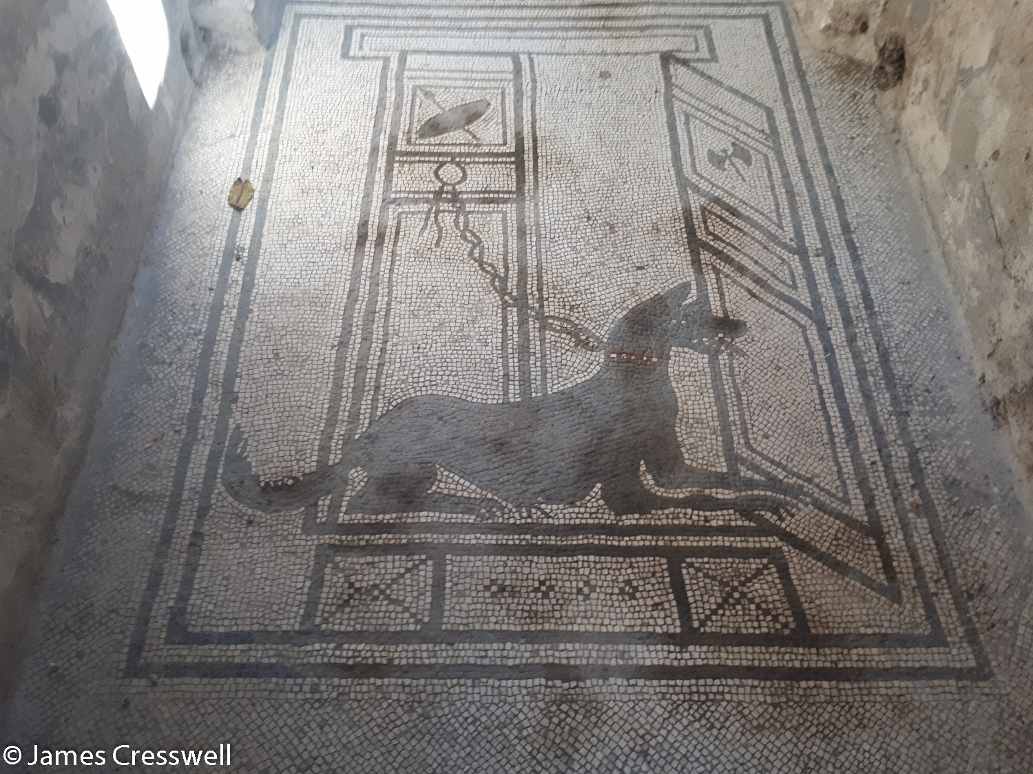 Floor mosaic of a dog