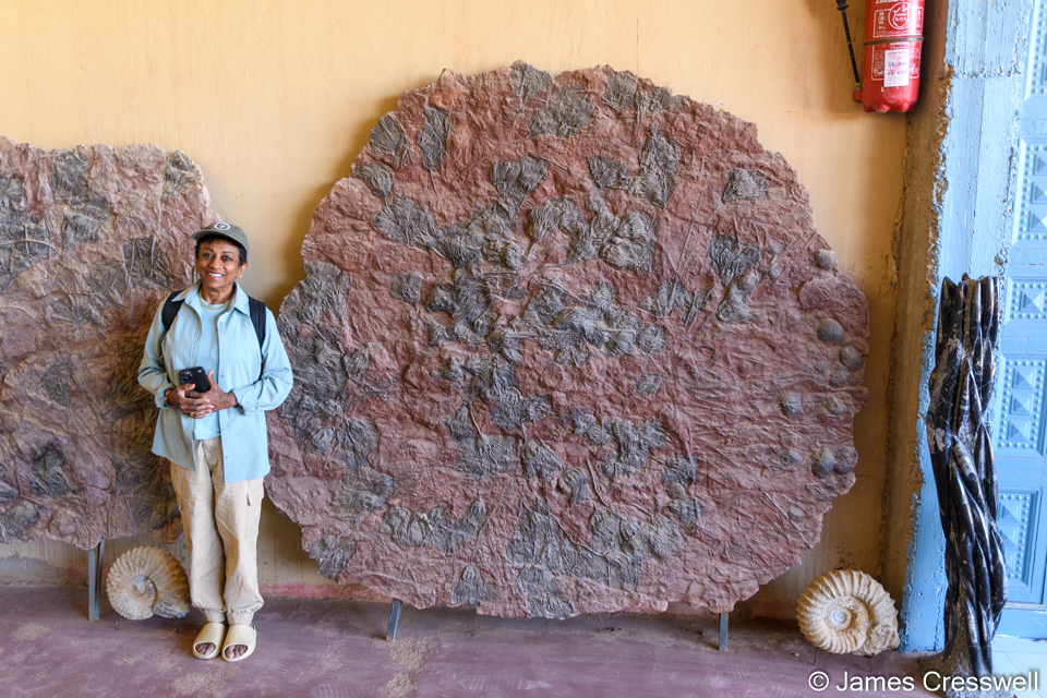 Sita with a huge Silurian crinoid fossil at the Orthoceras factory