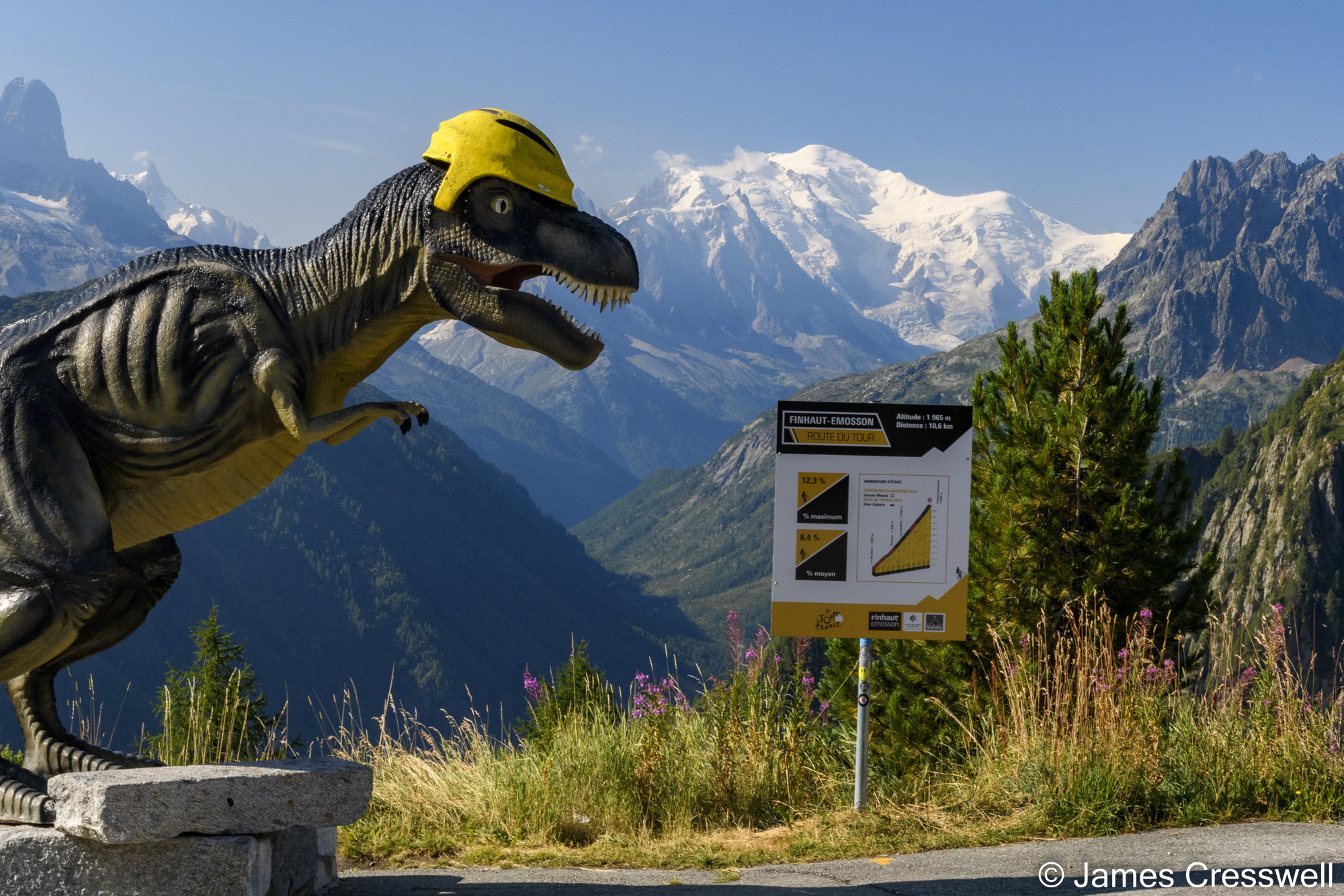 Dinosaur model wearing a cycle helmet with mountains in the background